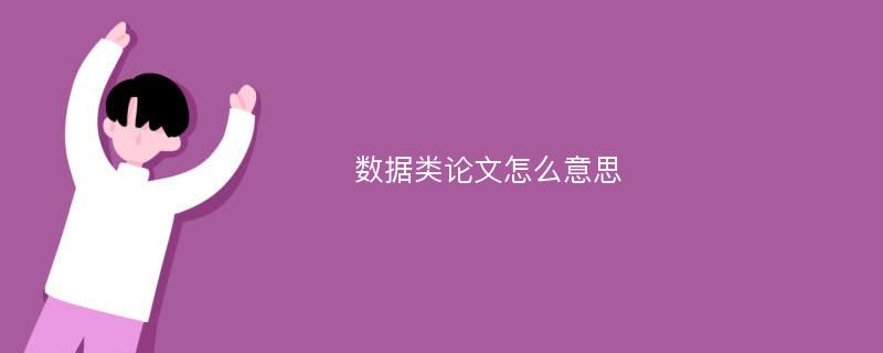 数据类论文怎么意思