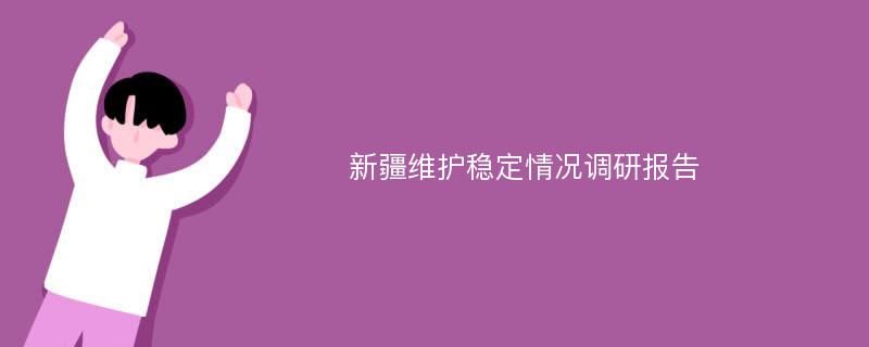 新疆维护稳定情况调研报告