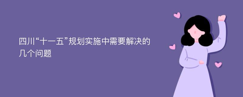 四川“十一五”规划实施中需要解决的几个问题