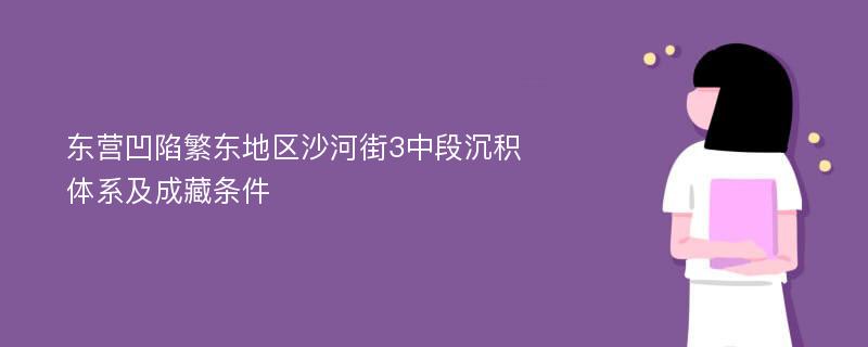 东营凹陷繁东地区沙河街3中段沉积体系及成藏条件