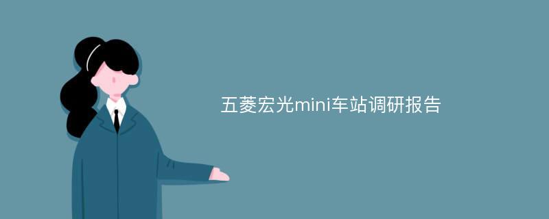 五菱宏光mini车站调研报告