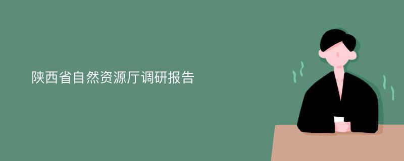 陕西省自然资源厅调研报告