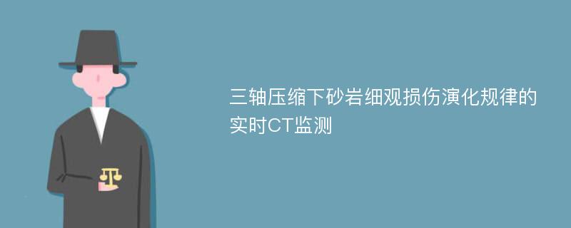 三轴压缩下砂岩细观损伤演化规律的实时CT监测