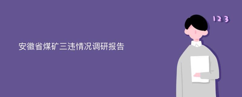 安徽省煤矿三违情况调研报告