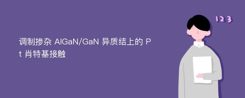 调制掺杂 AlGaN/GaN 异质结上的 Pt 肖特基接触