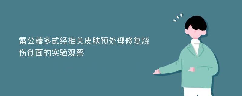 雷公藤多甙经相关皮肤预处理修复烧伤创面的实验观察