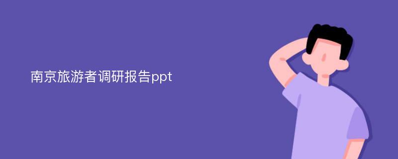 南京旅游者调研报告ppt