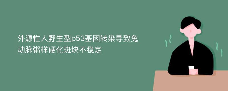 外源性人野生型p53基因转染导致兔动脉粥样硬化斑块不稳定