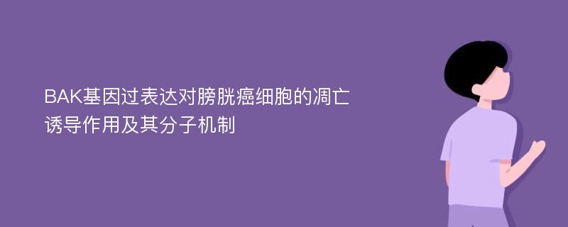 BAK基因过表达对膀胱癌细胞的凋亡诱导作用及其分子机制