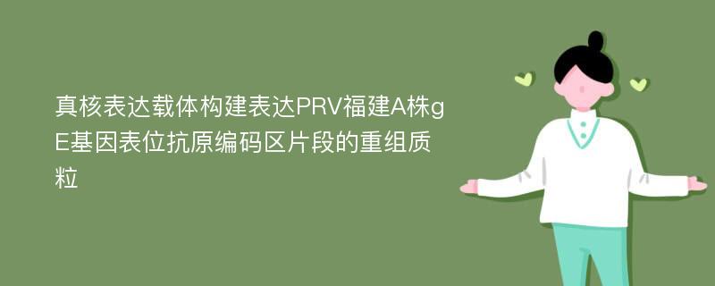 真核表达载体构建表达PRV福建A株gE基因表位抗原编码区片段的重组质粒