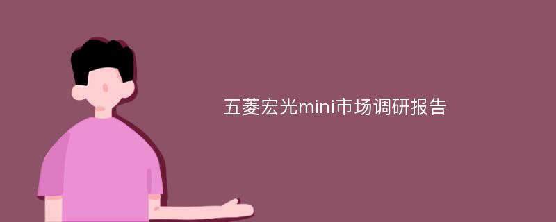 五菱宏光mini市场调研报告