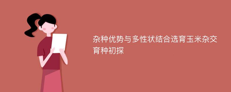 杂种优势与多性状结合选育玉米杂交育种初探