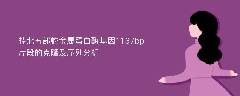 桂北五部蛇金属蛋白酶基因1137bp片段的克隆及序列分析