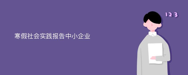 寒假社会实践报告中小企业